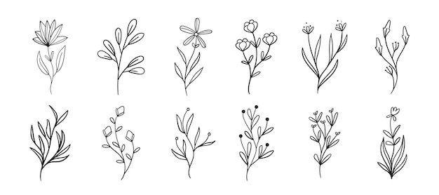 Vector decoración floral minimalista