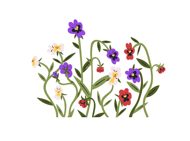 Decoración de flores pansies cluster heartsease flores silvestres florecidas plantas de campo grupo flores suaves ramas tallos con hojas ilustración vectorial gráfica plana aislada sobre fondo blanco