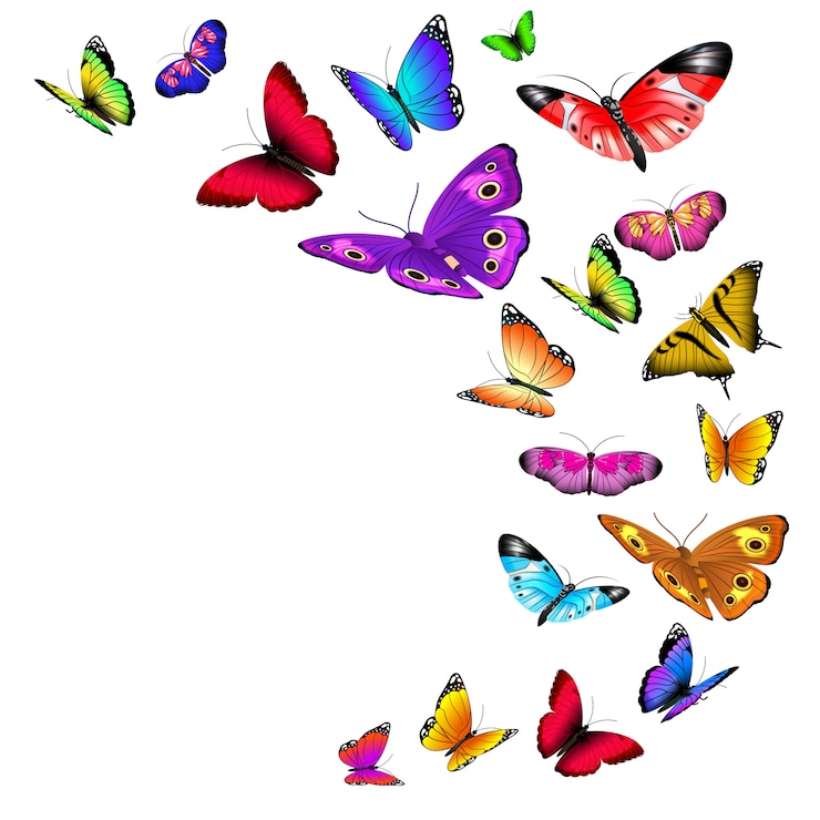 Vector decoración de mariposas volando