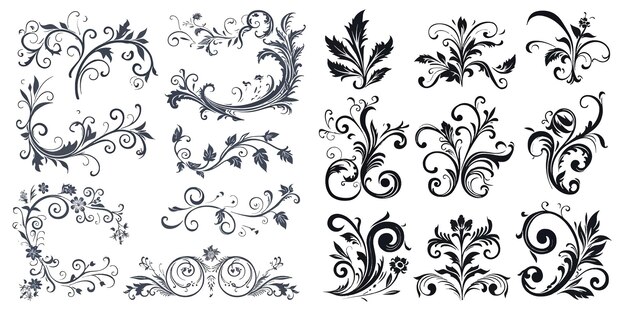 Vector decoraciones de páginas caligráficas vectoriales