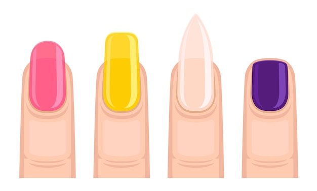 Vector dedos con uñas de diferentes formas coloreadas con un conjunto vectorial de esmalte de uñas