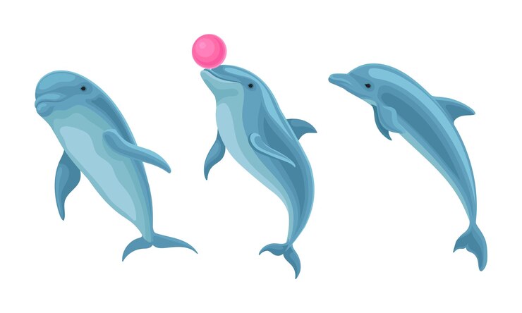 Vector delfín azul como mamífero acuático con cuerpo aerodinámico y aletas vectoriales