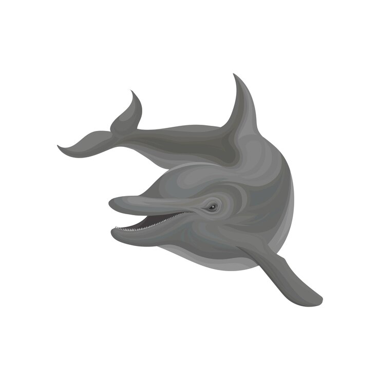 Vector delfín mamífero marino habitante de mar y océano vector ilustración sobre un fondo blanco
