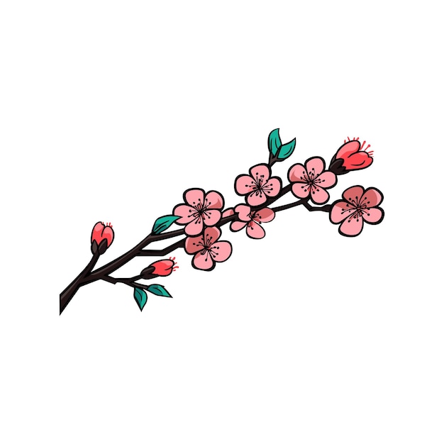 La delicada rama de la flor de cerezo en flor
