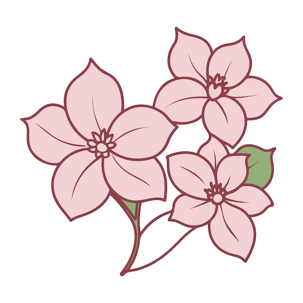 Delicadas flores rosadas en flor de dogwood con ilustraciones de hojas verdes