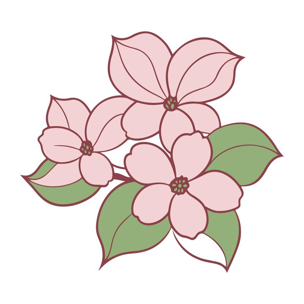 Delicadas flores rosadas en flor de dogwood con ilustraciones de hojas verdes