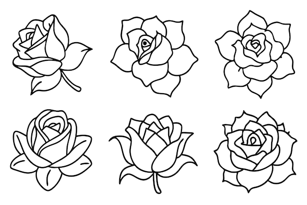 El delicado arte de la línea de rosas es un arte floral atemporal y gracioso.