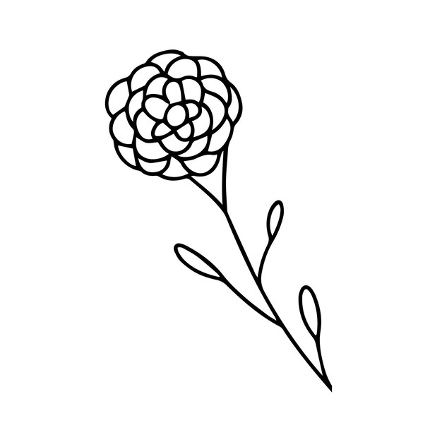 Delicado boceto de una ilustración de vector de flor de primavera en estilo dibujado a mano