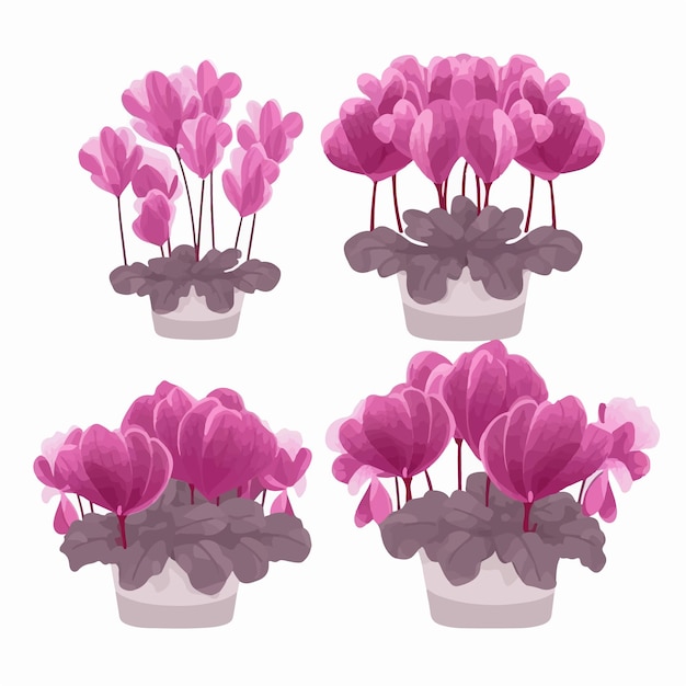Una deliciosa variedad de arte vectorial de flores de ciclamen para darle un toque de elegancia