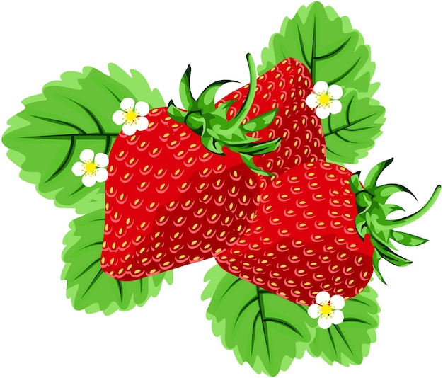 Deliciosas fresas con hojas