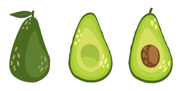 Delicioso aguacate entero cortado en mitades y con foso ilustración vectorial de aguacate