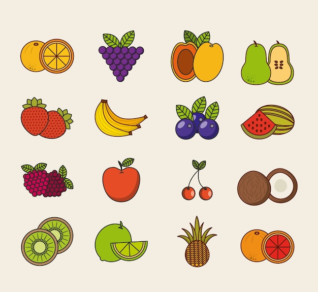 Vector delicioso diseño de fruta