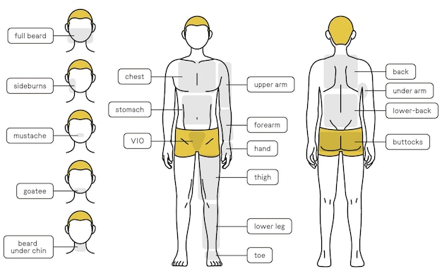 Vector depilación para hombres, cuerpo completo, parte delantera y trasera y guía para el área de la cara, ropa interior