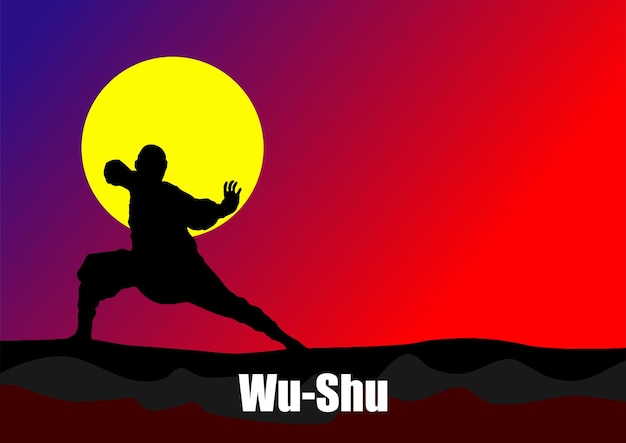 Deportes de combate orientales Wushu Color 3d vector ilustración