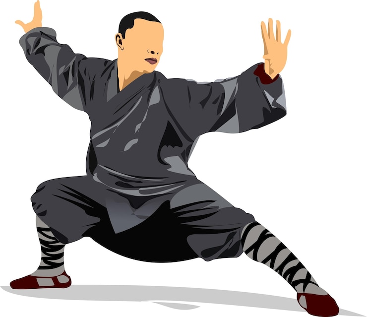 Vector deportes de combate orientales wushu color 3d vector ilustración