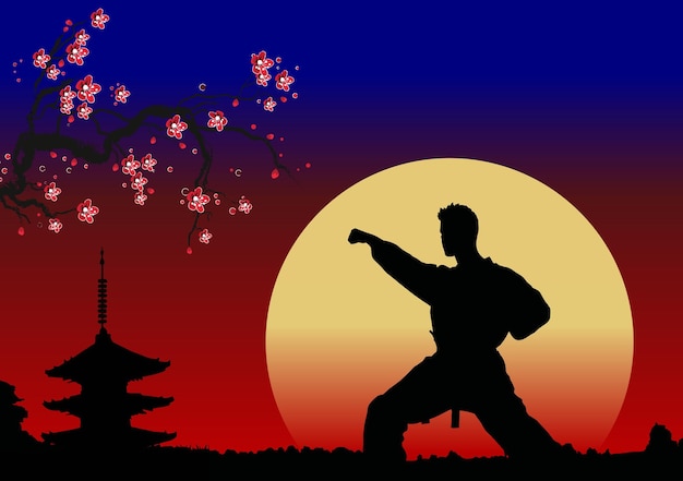 Deportes de combate orientales Wushu Ilustración vectorial 3D a mano en colores