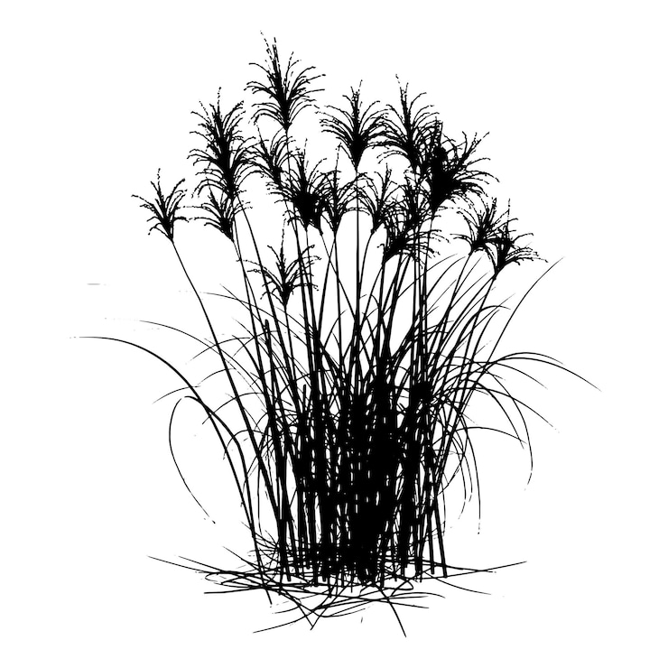 Vector descarga gratuita de la silueta de la planta del árbol de hierba