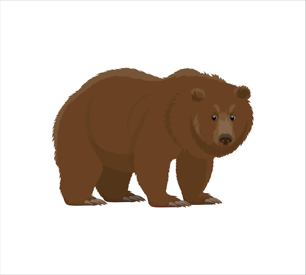 Vector descarga gratuita de vectores de oso de dibujos animados para niños