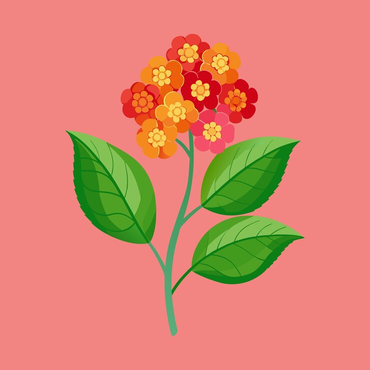 Vector descarga lantana flower vector art illustration este concepto de diseño es un vector premium aislado
