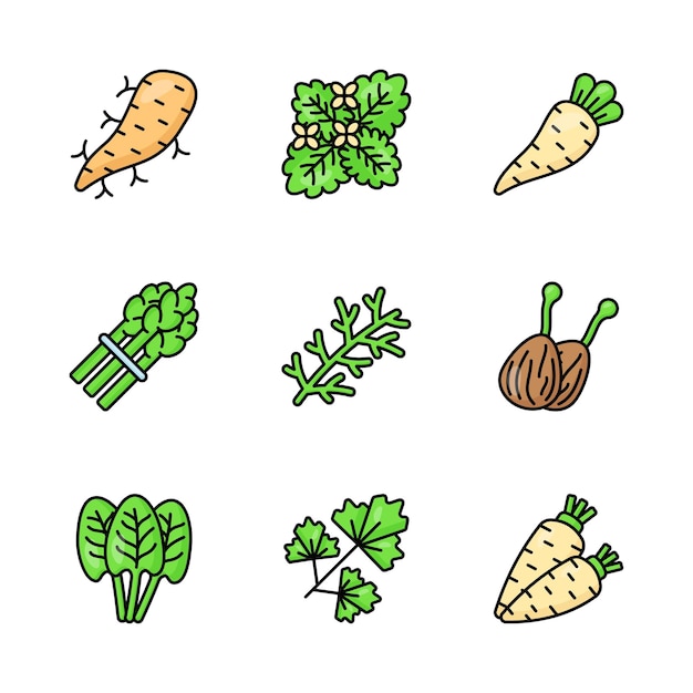 Descargar este hermoso y increíble conjunto de iconos de verduras listo para usar en aplicaciones móviles web