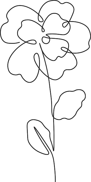 Descripción de la planta floral