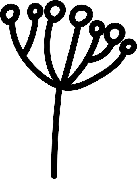 Descripción de las ramas florales