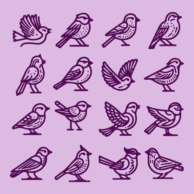 Descubra una impresionante colección de iconos y logotipos de línea de pájaros en un fondo minimalista Este vecto