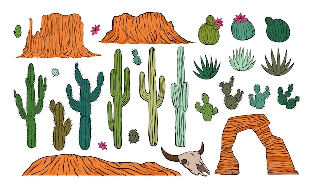 Desierto de África Occidental elementos del paisaje arbusto árbol hierba y rocas del cañón diferentes cactus tumbleweed planta de safari maleza oeste vegetación silvestre montaña de rocas tumble vector conjunto aislado