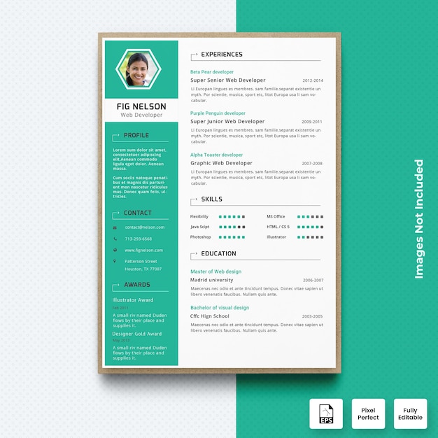 Designer Green Curriculum Vitae CV Plantilla Vector Premium