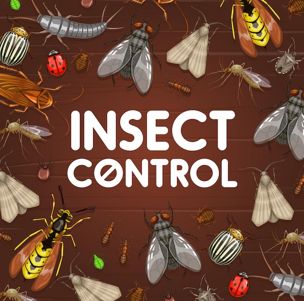 Desinsectación de insectos para el control de plagas Insectos y moscas