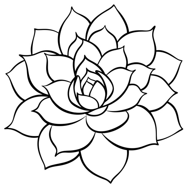 Detalladas flores de arte de línea negra en un fondo blanco