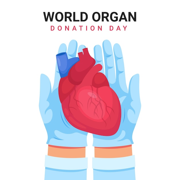Día mundial de la donación de órganos, ilustración de manos médicas y corazón humano.