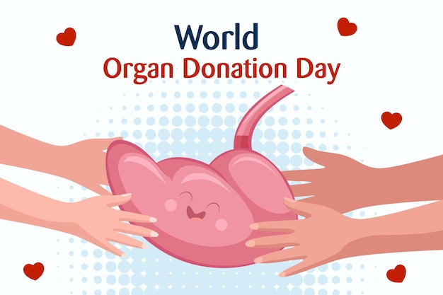 Día mundial de la donación de órganos con riñones corazón pulmones ojos o hígado para trasplante salvando vidas