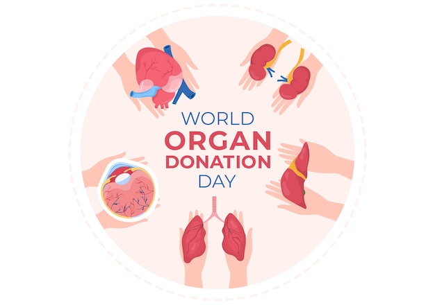 Vector día mundial de la donación de órganos para trasplantes salvando vidas y cuidado de la salud en la ilustración de dibujos animados
