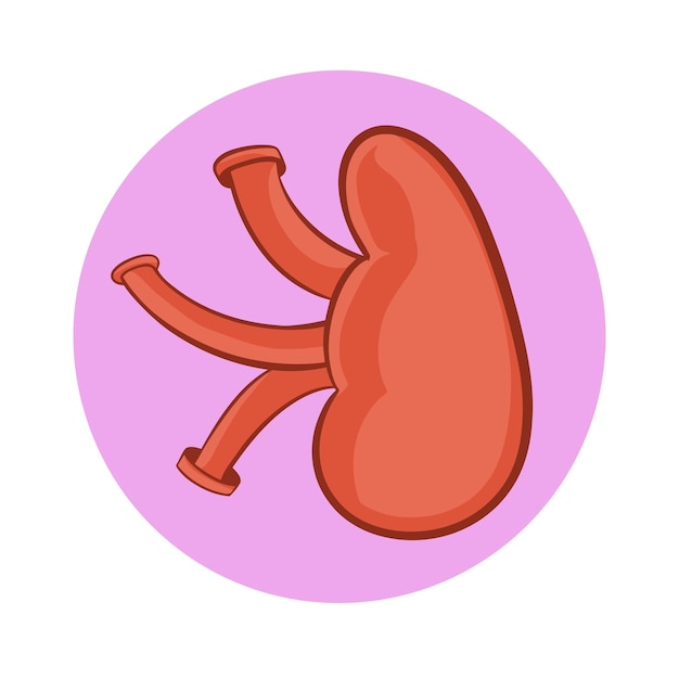 El día mundial del riñón en una ilustración vectorial blanca