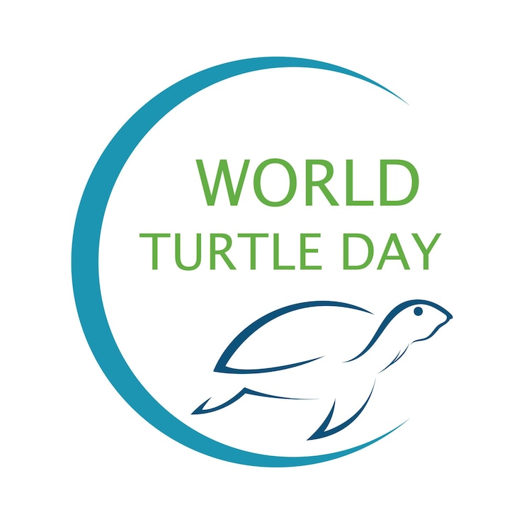 Vector día mundial de las tortugas