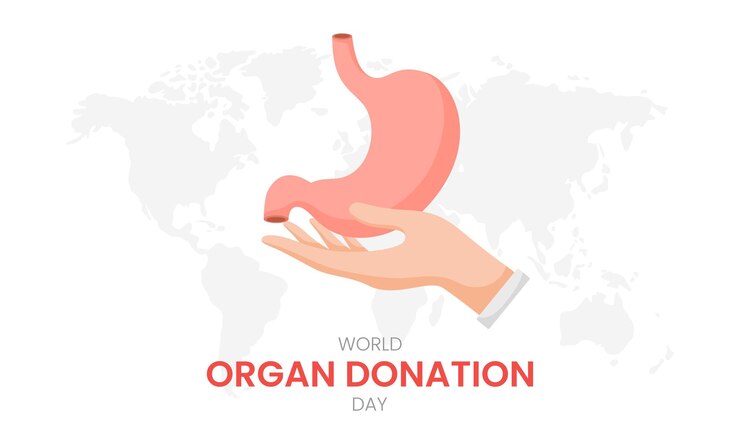Vector día nacional del donante de órganos con estómago