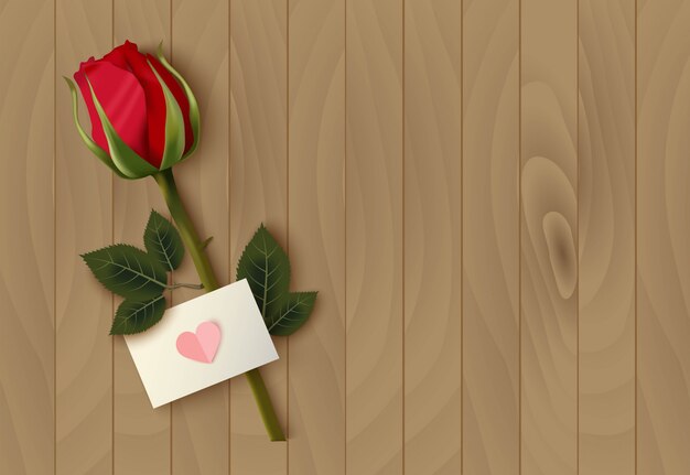 Día de San Valentín fondo rosa con rosa