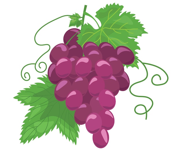 Vector día del vino de uva