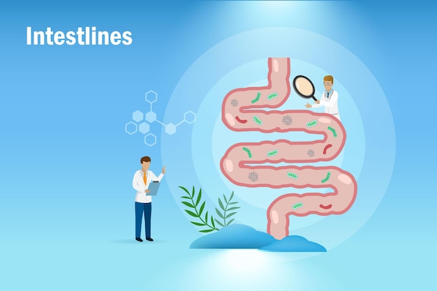 Diagnóstico médico y examen del tracto gastrointestinal del paciente y del sistema digestivo