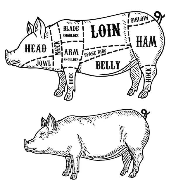 Diagrama de carnicero de cerdo. Cortes de cerdo. Elemento para cartel, tarjeta, emblema, insignia. imagen