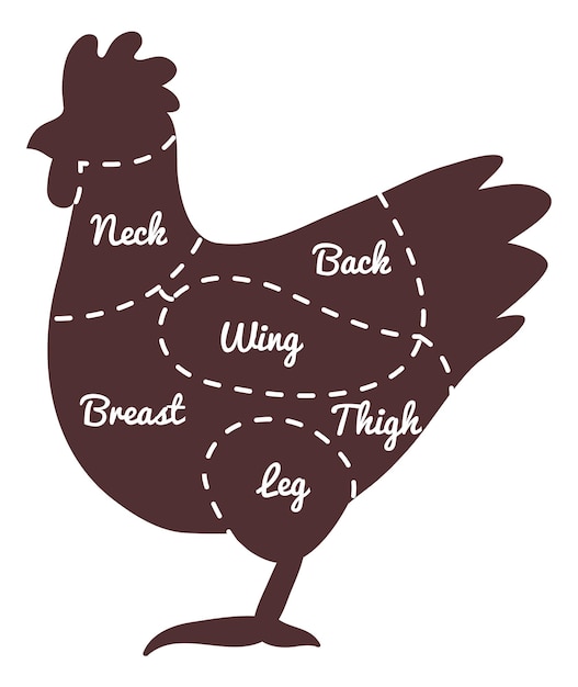 Vector diagrama del carnicero de pollo silueta del gallo ilustración de alimentos