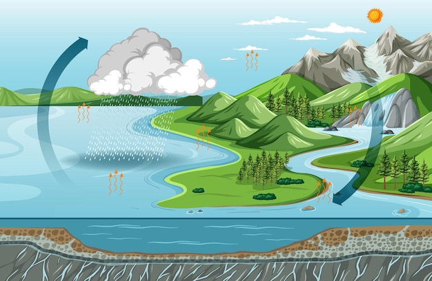 Diagrama del ciclo del agua (evaporación) con escena de paisaje natural
