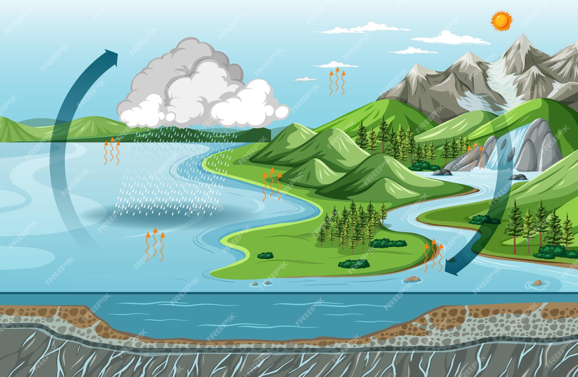 Diagrama del ciclo del agua (evaporación) con escena de paisaje natural |  Vector Premium