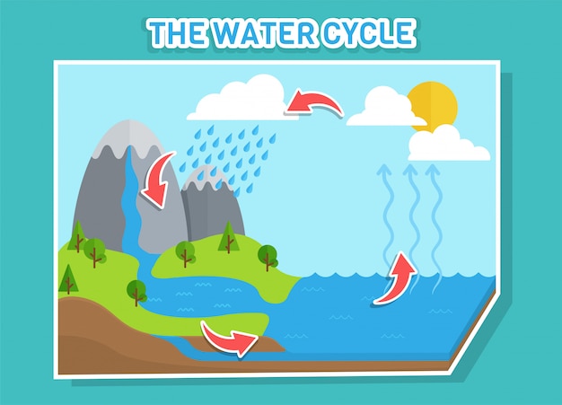 El diagrama del ciclo del agua muestra el ciclo del agua desde las gotas de agua hasta las gotas de lluvia.