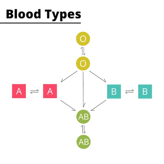 Diagrama de compatibilidad de tipos de sangre Sistema de grupo sanguíneo ABO Ilustración vectorial Ilustración didáctica