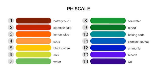 Vector diagrama de escala de ph