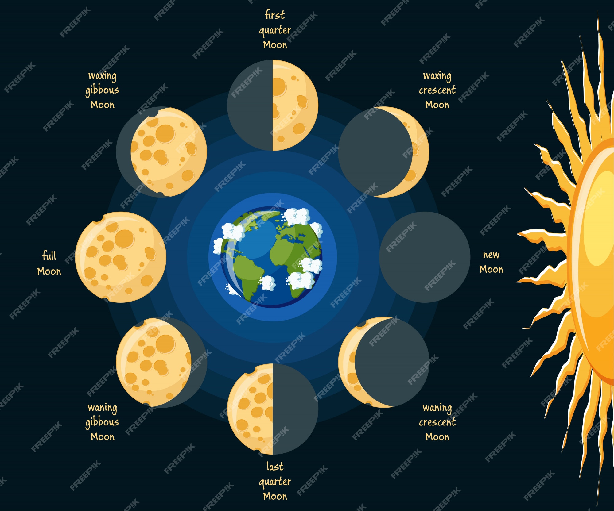 Diagrama de fases de la luna básica Vector Premium
