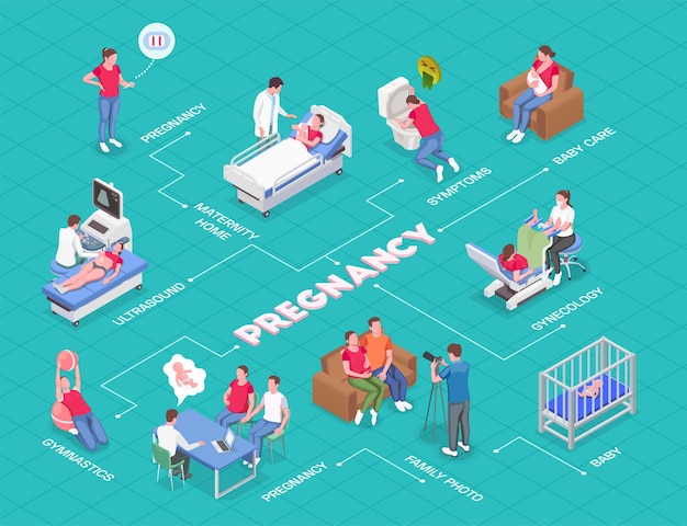 Diagrama de flujo isométrico de embarazo con mujeres embarazadas que consultan a padres ginecólogos y bebés recién nacidos