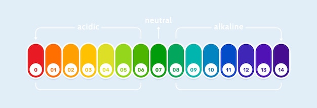 Diagrama de gráfico de indicador de escala de PH Análisis de medida ácida y alcalina Concepto de alimentación saludable Ilustración vectorial